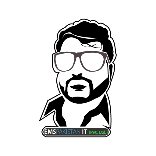 EMSPakistan IT Pvt. Ltd logo