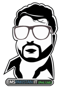 EMSPakistan IT Pvt. Ltd logo